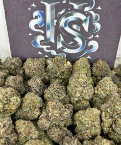 Buy Razzberry Punch Strain Online