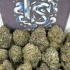 Buy Blueberry Burst Strain Online