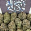 Buy Miami Mintz Strain Online
