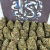 Buy MARMALADEZ Strain Online