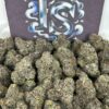 Buy Sharklato Strain Online