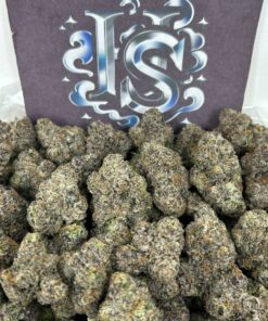 Buy Sharklato Strain Online