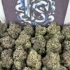 Buy Starfruit cannabis Online