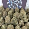 Buy Galactic Grape Online