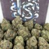 Buy Blueberry Mimosa Strain