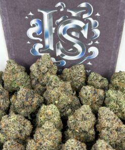 Buy Blueberry Mimosa Strain