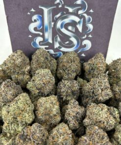 Buy Cactus Cooler Weed