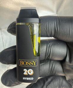 STRAWBERRY ICE BOSSY 2G Disposable