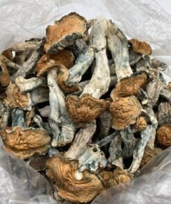 SHROOMS