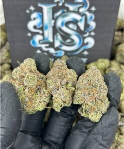 Cherry Blast