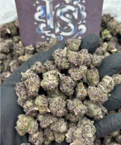 Purple Cloud Mediums